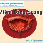 ?‍⚕️ Địa Chỉ Điều Trị Viêm Bàng Quang Tại Tphcm