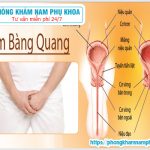 ?‍⚕️ Tổng Quan Viêm Bàng Quang Và Nguyên Nhân Viêm Bàng Quang