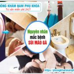 ?‍⚕️ Sùi Mào Gà Và Hạt Ngọc Dương Vật Khác Nhau Như Thế Nào