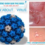 ?‍⚕️ Những Type HPV Nguy Hiểm Dẫn Đến Sùi Mào Gà