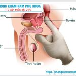 ?‍⚕️ Những Địa Chỉ Điều Trị Viêm Tuyến Tiền Liệt Hiệu Quả Hiện Nay