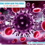 ?‍⚕️ Địa Chỉ Xét Nghiệm HIV Ở TPHCM Tốt Nhất Và Có Hỗ Trợ Ngoài Giờ