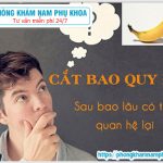 ⚕️ Cắt Bao Quy Đầu Bao Lâu Thì Quan Hệ Được