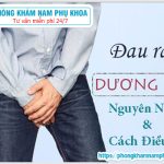 ⚕️ Nguyên Nhân Đau Rát Dương Vật Và Cách Điều Trị Đau Rát Dương Vật