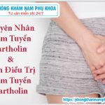 ?‍⚕️ Nguyên Nhân Viêm Tuyến Bartholin Và Cách Điều Trị Viêm Tuyến Bartholin