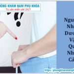 ⚕️ Nguyên Nhân Dương Vật Quá Nhạy Cảm