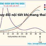 ?‍⚕️ Bầu Ngứa Vùng Kín Phải Làm Sao