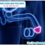 ⚕️ Đầu Khấc Là Gì Và Những Bệnh Thường Gặp Ở Đầu Khấc