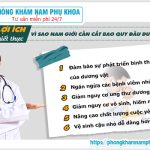 ⚕️ 20 Tuổi Cắt Bao Quy Đầu Được Không