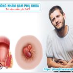 ?‍⚕️ 2 Cách Chữa Bệnh Trĩ Bằng Lá Trầu Hiệu Quả, Dễ Thực Hiện