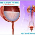 ⚕️ Các Bệnh Đường Tiết Niệu Thường Gặp 