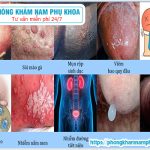 ⚕️ Các Loại Nấm Ở Bộ Phận Sinh Dục Nam