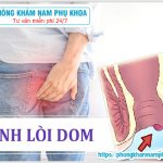 ⚕️ Lòi Dom Có Tự Khỏi Không?